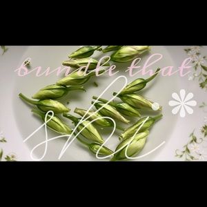 can you say ‘discount’?